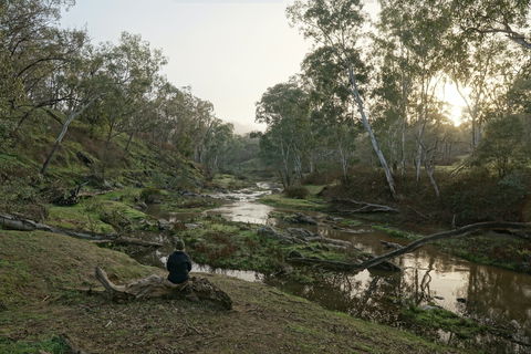 Highfield Farm And Woodland Bush Campsites - Local Tourism 2