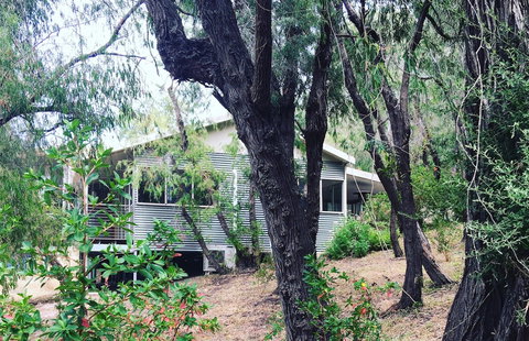 Kangaroo Hollow Preston Beach - Local Tourism 8