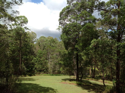 Maleny Country Cottages - Accommodation Australia 2