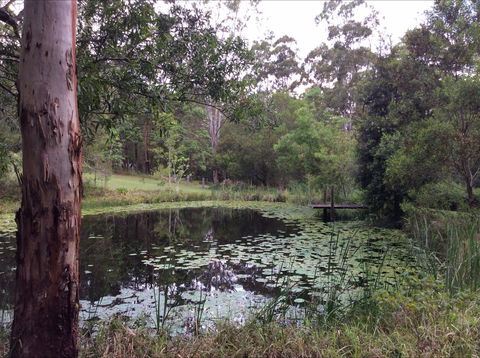 Maleny Country Cottages - Accommodation Australia 3
