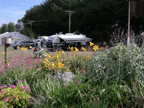 Millicent Showground RV Park - Accommodation Australia 0