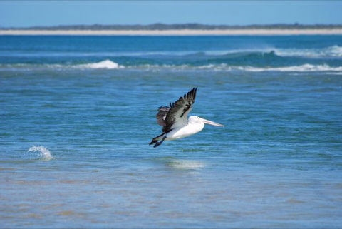 North East River Camping Ground - Australia Shopping 5