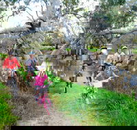 NRMA Echuca Holiday Park - Local Tourism