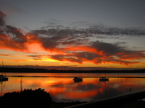 Riverview Apartment 2.6, Iluka - Local Tourism 0