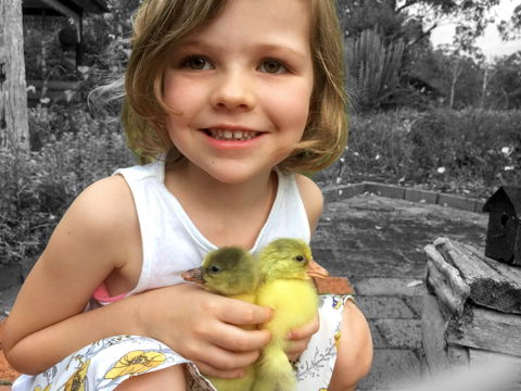 Telegraph Retreat Cottages - Accommodation Australia 9