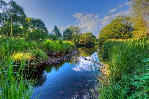 Terania Green Boutique Eco Cottages - Accommodation Australia 3