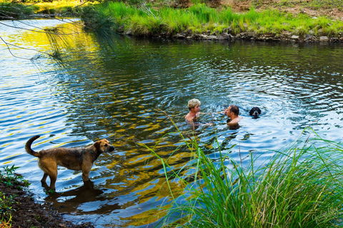 Terania Green Boutique Eco Cottages - Accommodation Australia 4