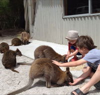 The Patriarch Wildlife Sanctuary Camping Ground - Australia Shopping