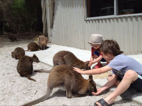 The Patriarch Wildlife Sanctuary Camping Ground - Australia Shopping 0