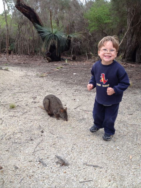 The Patriarch Wildlife Sanctuary Camping Ground - Australia Shopping 1