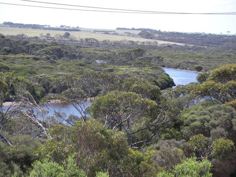 Vivonne Bay Island Getaway - Accommodation Australia 1