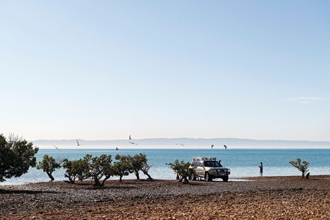 Camping At Point Lowly & Fitzgerald Bay - Accommodation Australia 0