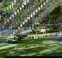 Chaelundi campground - Local Tourism