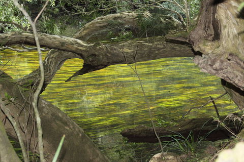Clyde River Retreat - Accommodation Australia 2