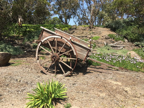 Eldorado Tourist And Residential Park - Local Tourism 5