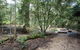 Eungella National Park Camping - thumb 0
