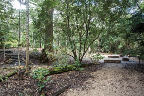 Eungella National Park Camping - Accommodation Australia 0