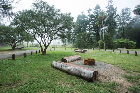 Eungella National Park Camping - Accommodation Australia 1