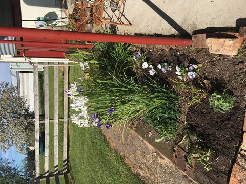 Fairview Bed And Breakfast Cottage - Accommodation Australia 2
