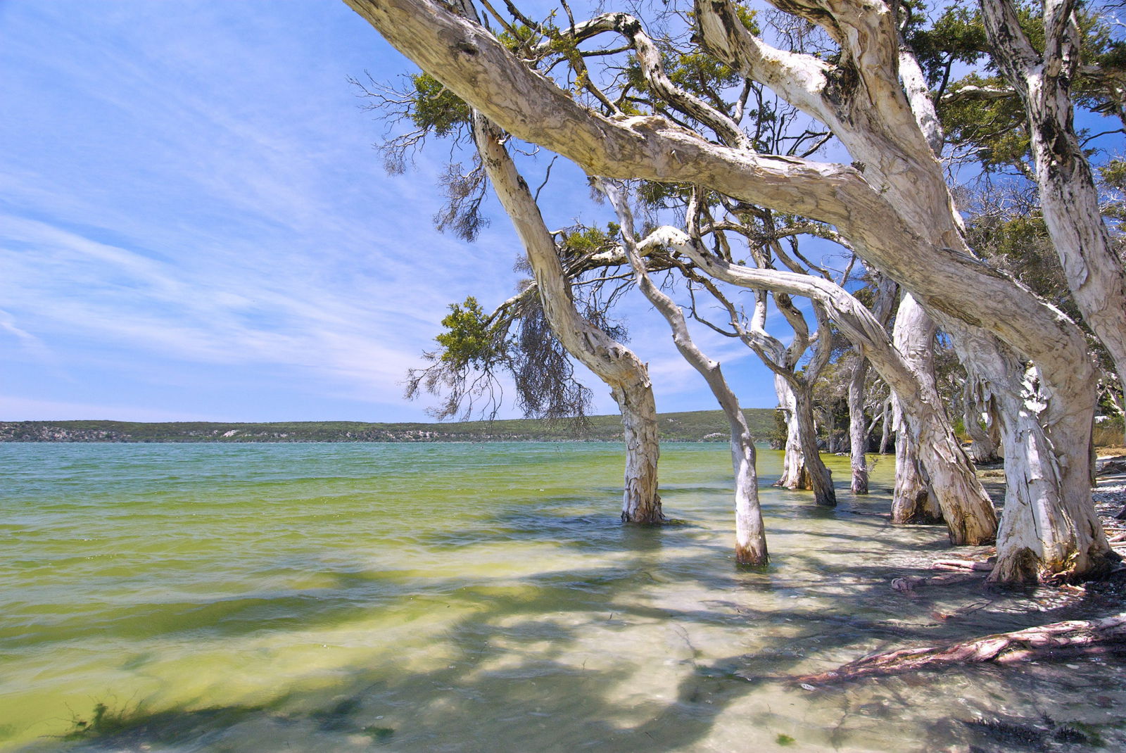 Coomalbidgup WA Local Tourism