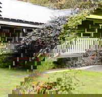 Forrest Guesthouse - Local Tourism