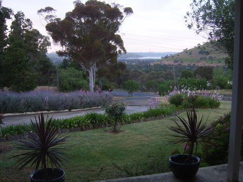 Garden Motor Inn (Golden Chain) - Local Tourism 3