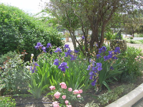 Garden Motor Inn (Golden Chain) - Local Tourism 7