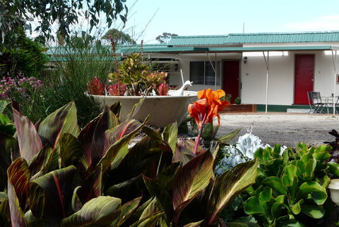 Glenrowan Kelly Country Motel - Local Tourism 5