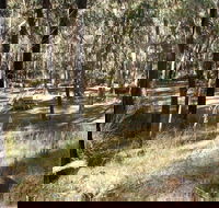 Greenbah campground - Accommodation Australia