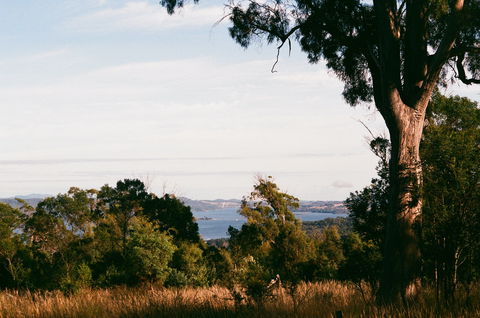 Hilltop Barn At Swan Bay - Local Tourism 0