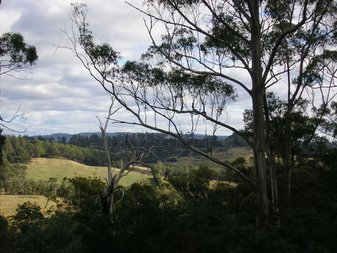 Hilltop Barn At Swan Bay - Local Tourism 1