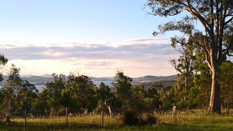 Hilltop Barn At Swan Bay - Local Tourism 7