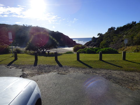 Little Bay Cottage - Accommodation Australia 0
