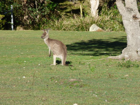 Little Bay Cottage - Accommodation Australia 2