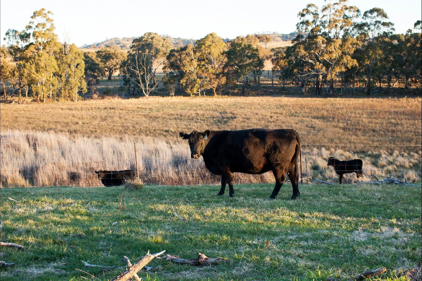 Meroo NSW Local Tourism