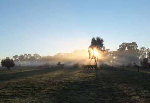 Mackereth's Hedon Farm - Accommodation Australia 1