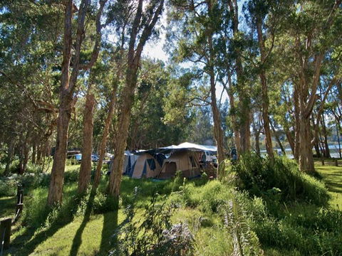 Neranie Campground And Picnic Area - Australia Shopping 0
