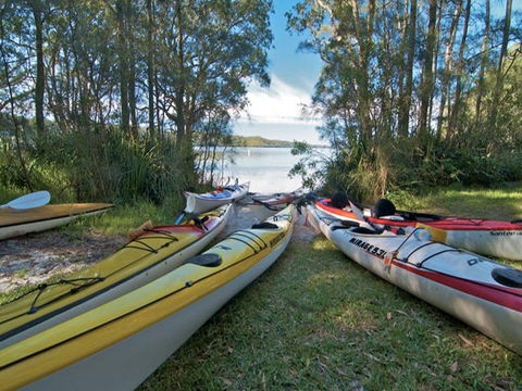 Neranie Campground And Picnic Area - Australia Shopping 1