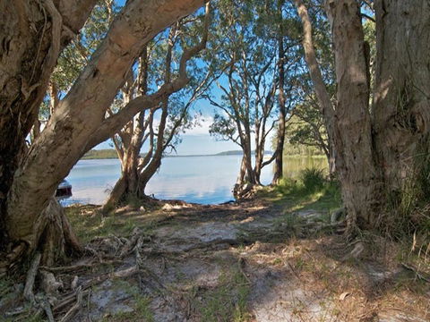 Neranie Campground And Picnic Area - Australia Shopping 2