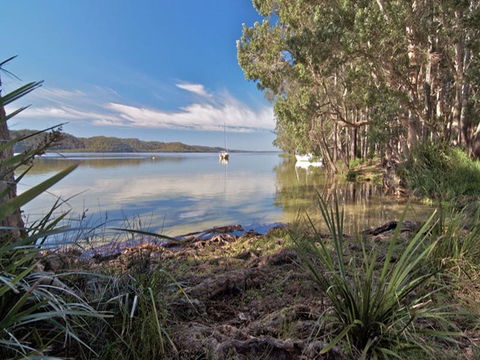Neranie Campground And Picnic Area - Australia Shopping 3
