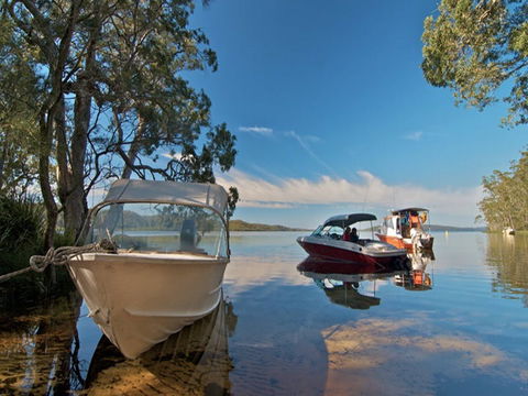 Neranie Campground And Picnic Area - Australia Shopping 4