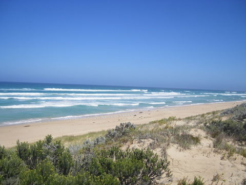 Oil Rig Square Campground - Canunda National Park - Local Tourism 0