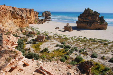 Oil Rig Square Campground - Canunda National Park - Local Tourism 1