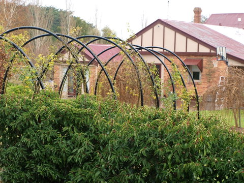Pierrepoint Wines Bed & Breakfast - Accommodation Australia 1