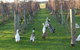 Pierrepoint Wines Bed & Breakfast - thumb 2