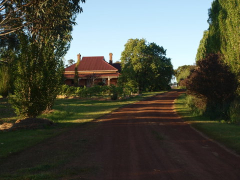 Pierrepoint Wines Bed & Breakfast - Accommodation Australia 4