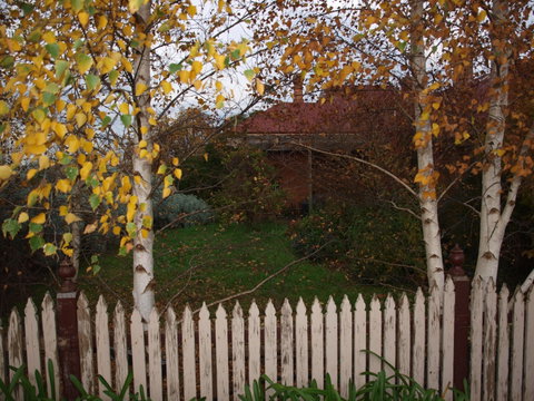 Pierrepoint Wines Bed & Breakfast - Accommodation Australia 6