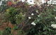 Pierrepoint Wines Bed & Breakfast - thumb 7