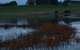 Pierrepoint Wines Bed & Breakfast - thumb 8
