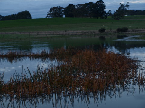 Pierrepoint Wines Bed & Breakfast - Accommodation Australia 8
